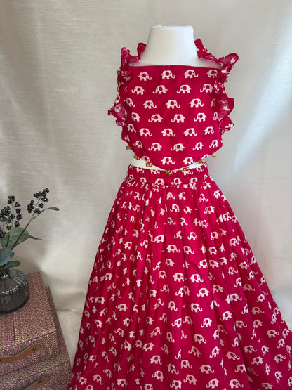 Raspberry Pink Elephant Print Lengha