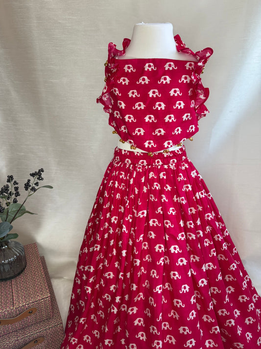 Raspberry Pink Elephant Print Lengha