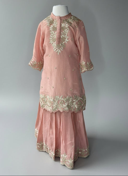 Pastel Pink Palazzo Set with Zari and Pearl Embroidery