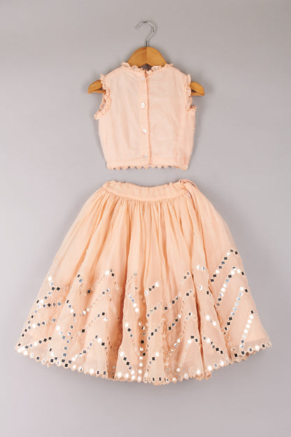 Peach Lehenga with Mirror Embroidery