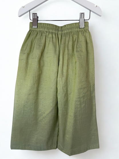 Pistachio Green Zari Embroidered Anarkali Set